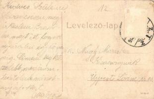 Brassó, Kronstadt, Brasov; Római katolikus fő gimnázium. W. L. 130. / Catholic grammar school (fa)