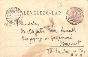 1899 Gyulafehérvár, Karlsburg, Alba Iulia;  Hotel Hungaria szálloda, Cs. Kiss M. üzlete, piac, áruso...