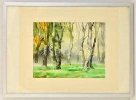 Szendeff Kristóf (1919-1981): Erdei fények. Akvarell, papír, jelzett, üvegezett keretben, 30×39 cm