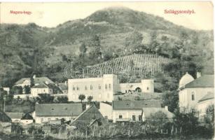 Szilágysomlyó, Simleu Silvaniei; Magura hegy, Simai kastély, villa. Sternberg Ignác kiadása / mountain, castle, villa (EK)