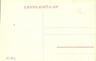 Arad, Lyceum. W. L. 511. / grammar school