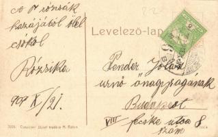 Máriaradna, Radna; látkép, templom, zárda. W. L. Bp. 3026. Csauscher József kiadása / general view, ...