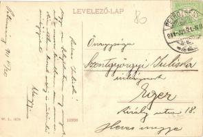 Petrozsény, Petrosani; Fő tér, piac, üzletek, templom. W. L. 1679. / main square, market, shops, chu...