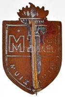 DN "Bem Gimnázium" zománcozott Br jelvény (22,5x34mm) T:2