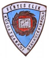 ~1960-1970. "Fényes Elek Közgazdasági Szakközépiskola" zománcozott iskolajelvény (23,5x29mm) T:2