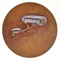 1960. "Nemzetközi Atlétikai Spartakiád Budapest 1960" zománcozott jelvény, Dózsa Sport Klu...