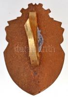 DN "KANDÓ" zománcozott, aranyozott iskolajelvény (28x43mm) T:2