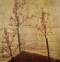 Wolfgang Georg Fischer: Egon Schiele.  1890-1918. Pantomimes de la volupté. Visions de la moralité. ...