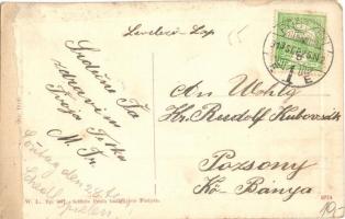 Pöstyén, Pistyan, Piestany; ferenc József út, Fürdő szálloda, Steinitz D. üzlete. W. L. Bp. 867. Sch...