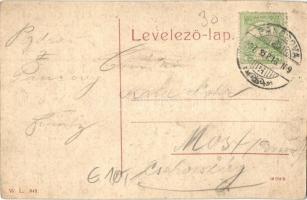 Pancsova, Pancevo; Mária Terézia utca, Popovits, Nádor és Társa, Fodor J. üzlete, kerékpár. W. L. 94...