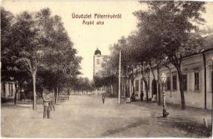 Péterréve, Backo Petrovo Selo; Árpád utca. W. L. Bp. 2233. Kiadja Benacsek Mihály / street view (EK)