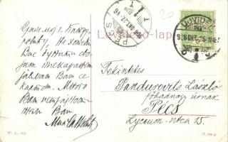 Újvidék, Novi Sad; Fő tér, piac, Mayer Imre szállodája és sörcsarnoka, Steiner üzlete. W. L. 261. / ...