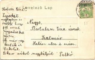 Munkács, Mukacheve, Mukacevo; Városháza. Virágos szecessziós dombornyomott litho keret, Kiadja Grüns...