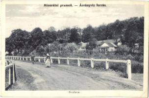 Szolyva, Svalova, Svaliava, Szvaljava; Ásványvíz forrás. Bodek és Morvay kiadása / Minerálni pramen / mineral spring (EK)