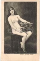 The Sultans favorite. Nude lady art postcard