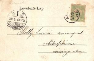 Alcsút, Alcsuth (Alcsútdoboz); Gyógyszertár külső és belső. Kiadja a Fogyasztási Szövetkezet