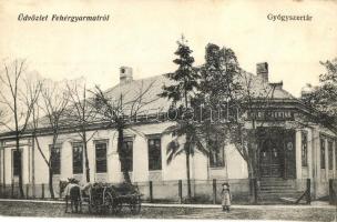 Fehérgyarmat, Gyógyszertár, lovaskocsi