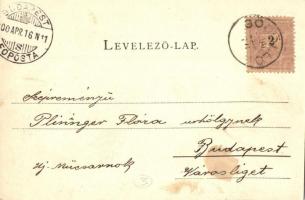 1900 Gödöllő, Király domb. Schmidt Edgar kiadása (EK)