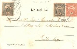 Szada, M. kir. posta hivatal, lovaskocsi. Keppich Mór kiadása