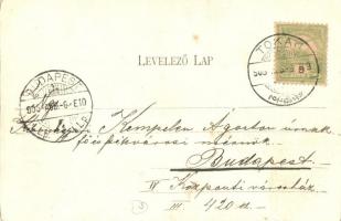 Tokaj, Tisza part, gőzhajó, lakóhajó, férfi egy vízi járművel (amit két talpon közlekedve a kajak la...