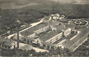 Algyógy, Geoagiu; M. kir. állami vasgyárak szanatóriuma / iron works sanatorium (Rb)