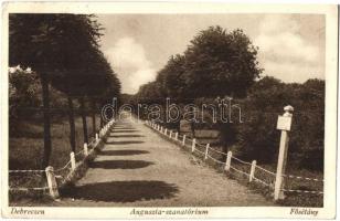 Debrecen - 3 db régi városképes lap