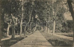 16 db régi magyar városképes lap, vegyes minőség / 16 pre-1945 Hungarian town-view postcards, mixed ...