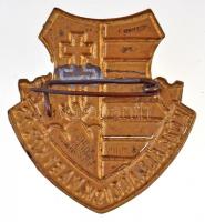 ~1946. "Közp. Áll. Ált. Isk. Nagykőrös" festett fém jelvény (32x36mm) T:2