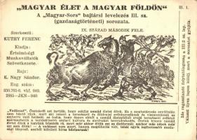 Kb. 100 db főleg régi grafikus képeslap: irredenta, Magyar Sors sorozatok, gőzhajók, kottás lapok, m...