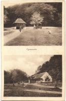 28 db régi szerb és délvidéki városképes lap / 28 pre-1945 town-view postcards from Serbia and Vojvo...