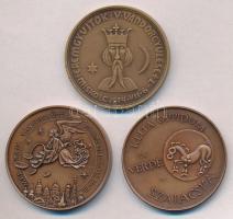 Fritz Mihály (1947-) 1993. "120 éve tanácsi jogú város Kaposvár - 25 éves az Éremgyűjtő Csoport...