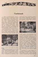 Magyar Vasutasok Albuma. 1930. Szerk.: Vass István. Bp.,1930, Hauptmann Nyomda,  316+2+4 p. Második ...