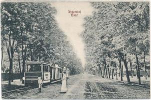 Debrecen, Nagyerdei fasor, villamos a megállóban (EK)
