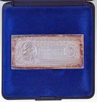 1996. 1946. 100Ft jelzett Ag bankjegy veret, eredeti tokban (47,65g/0.999/37,5x80mm) T:1- (eredetileg PP) patina