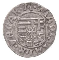 1498-1503K-h Denár Ag "II. Ulászló" (0,53g) T:1-
Hungary 1498-1503K-h Denar Ag "Wlad...
