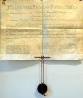 Braun Ernő nagyváradi gyógyszerész kolozsvári egyetemi diplomája