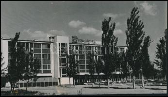 cca 1970 Velencei-tó, 4 db fotó (ebből 2 db vintage fénykép), 25x18 cm és 10x15 cm között