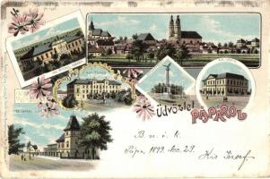 1899 Pápa, Irgalmas Nővérek zárdája, dohánygyár, főiskola, Honvédszobor, Római katolikus iskola. Regel & Krug floral, Art Nouveau, litho (EK)