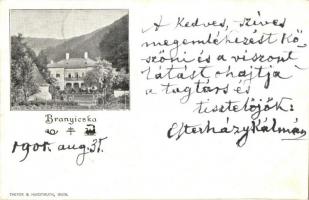 1901 Branyicska, Branisca; Jósika kastély. Theyer & Hardtmuth / castle (EK)