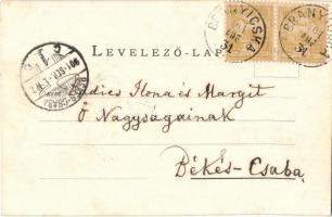 1901 Branyicska, Branisca; Jósika kastély. Theyer & Hardtmuth / castle (EK)