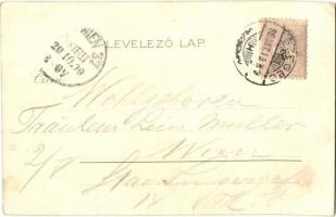 1899 Szeged, Klauzál tér, Endrényi Imre kiadása, Kosmos litho (fa)