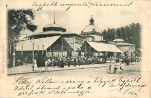 Budapest XIV. Városliget, Székesfővárosi pavilon. Károlyi György