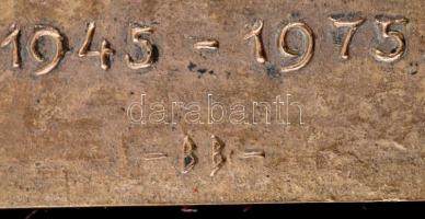 Búza Barna (1910-2010): Felszabadulás 1945-1975. Bronz téglalap alakú plakett (gipszel súlyozott), j...