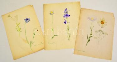 Benczúr jelzéssel: Virágok (3 db). Akvarell, papír, kis szakadásokkal, 28×20 cm