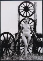 cca 1974 A nők imádata, szolidan erotikus felvételek, 4 db vintage fotó + egy db mai nagyítás, 18x24...