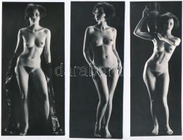 cca 1974 Házasságkötőből a műterembe, szolidan erotikus felvételek, 7 db vintage fotó, 18x6 cm