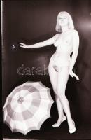 cca 1975 Kiegészítők akt felvételekhez, 5 db vintage negatív (24x36 mm) + 2 db vintage fotó (a negat...