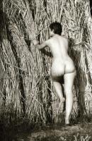 cca 1972 Nádüzem a Velencei-tó partján, szolidan erotikus felvételek, 13 db vintage negatív, 24x36 m...