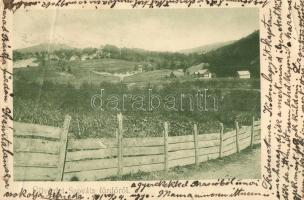 1901 Szováta, Sovata; látkép. Weinrich S. felvétele / general view (fa)