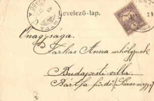 1901 Szováta, Sovata;  látkép. Weinrich S. felvétele / general view (fa)